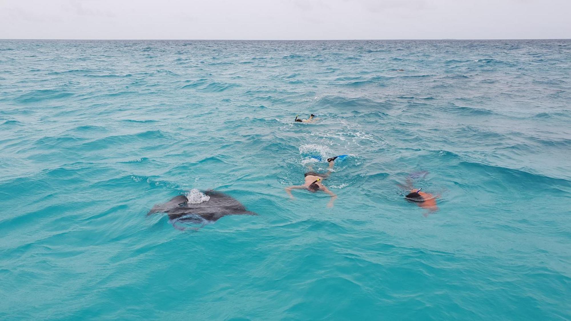 Arista Villa Ukulhas Exteriér fotografie